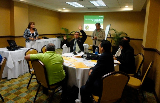 Elaboración de normas técnicas para la generación de empleos verdes República Dominicana 2011