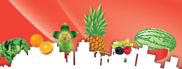 Norma Técnica de Competencia Laboral Regional y Diseño Curricular para la Calificación de Procesador/a de Frutas y Hortalizas