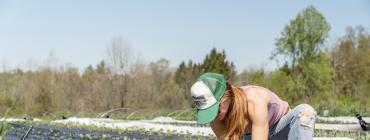 Prospección de necesidades formativas para la generación de empleos verdes en Centroamérica y República Dominicana